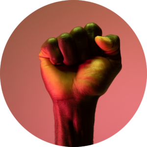 Website Intro Images